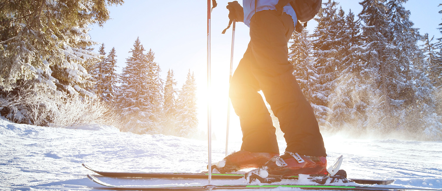 Discover the Best of Jackson, NH